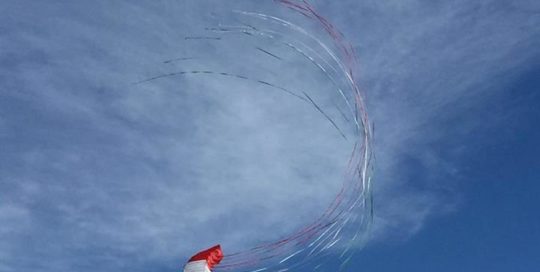 aquilone acrobatico dyna mod. italia